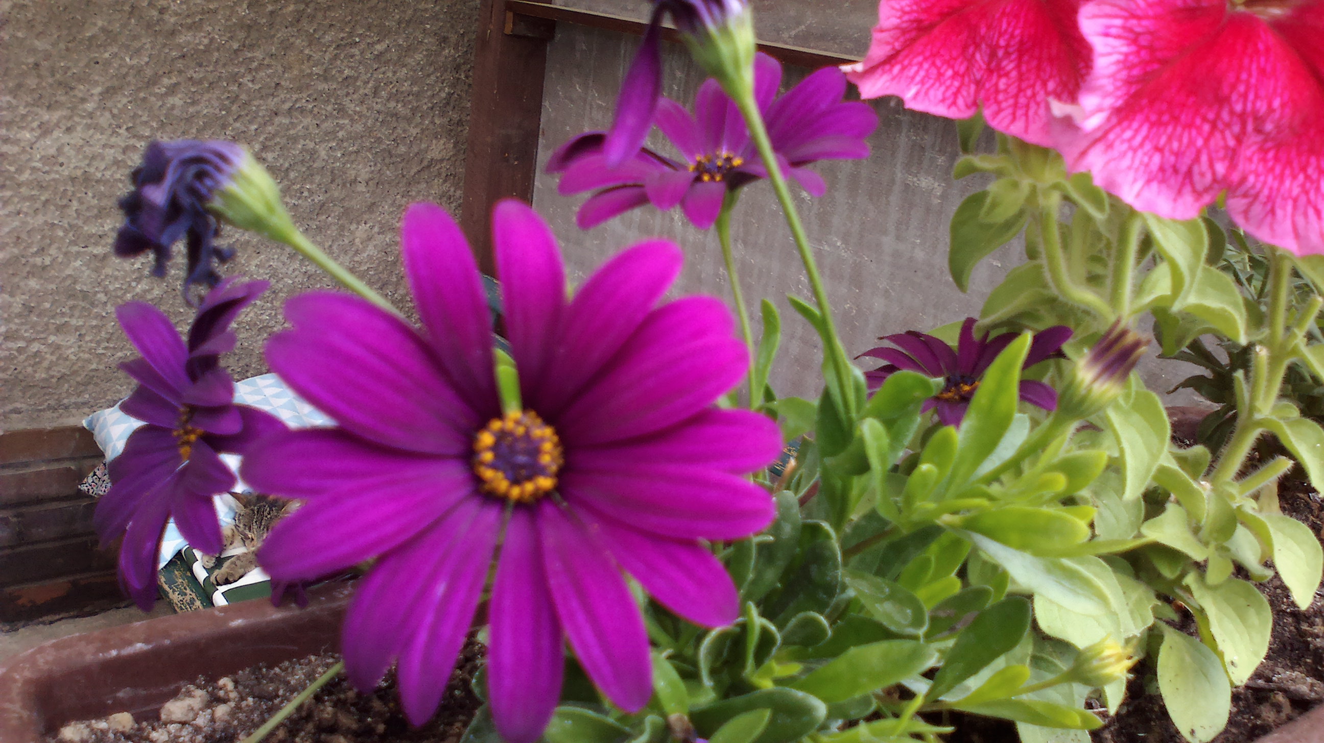 2015-06-10-0149