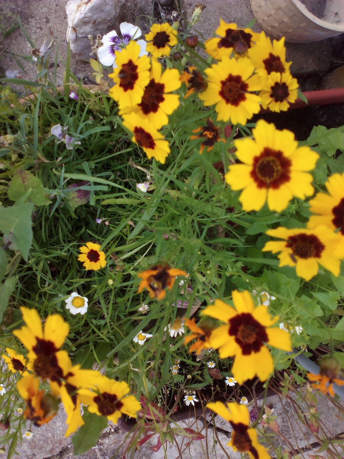 2014-07-21-0226
