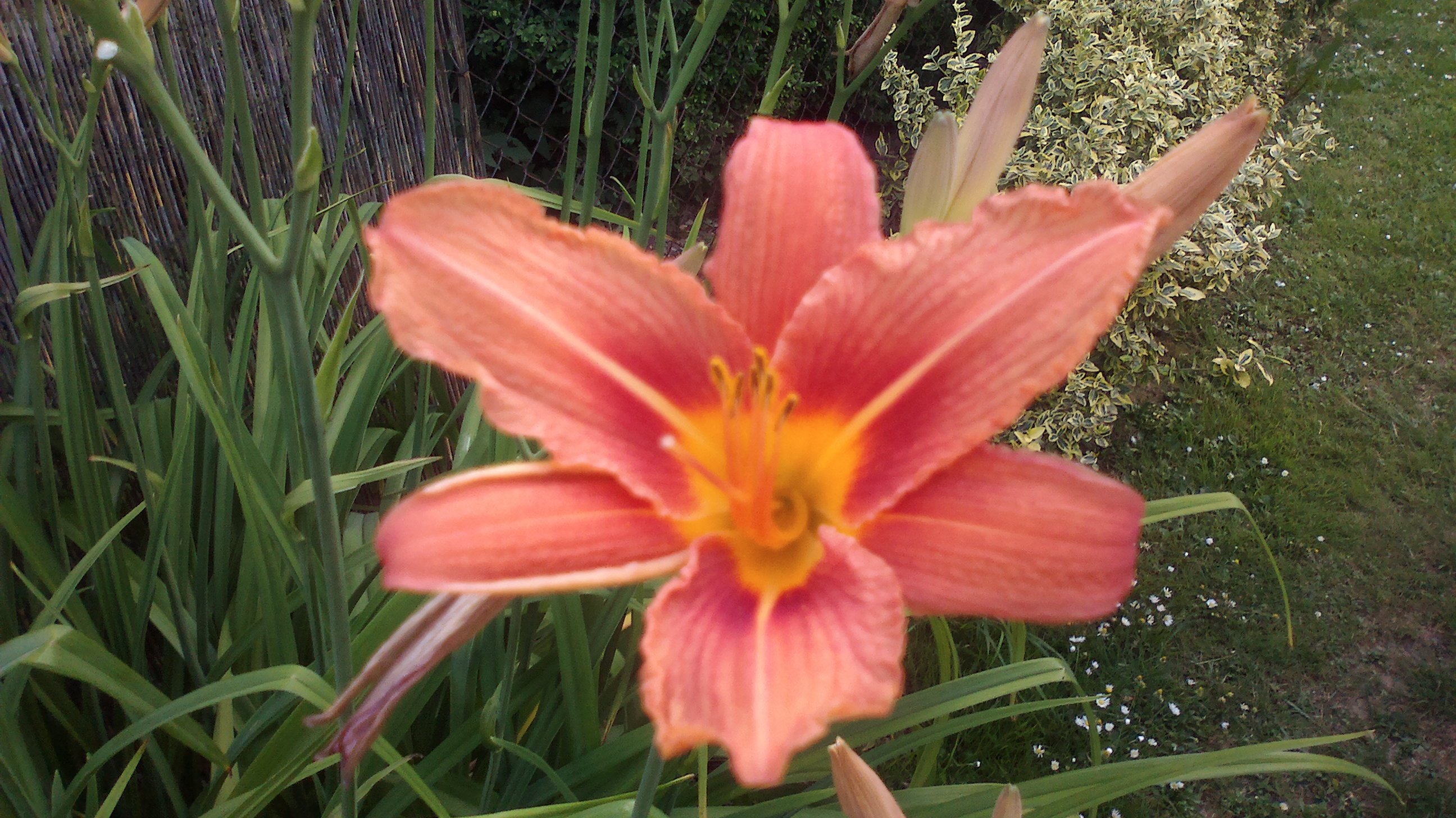 2015-06-29-0222