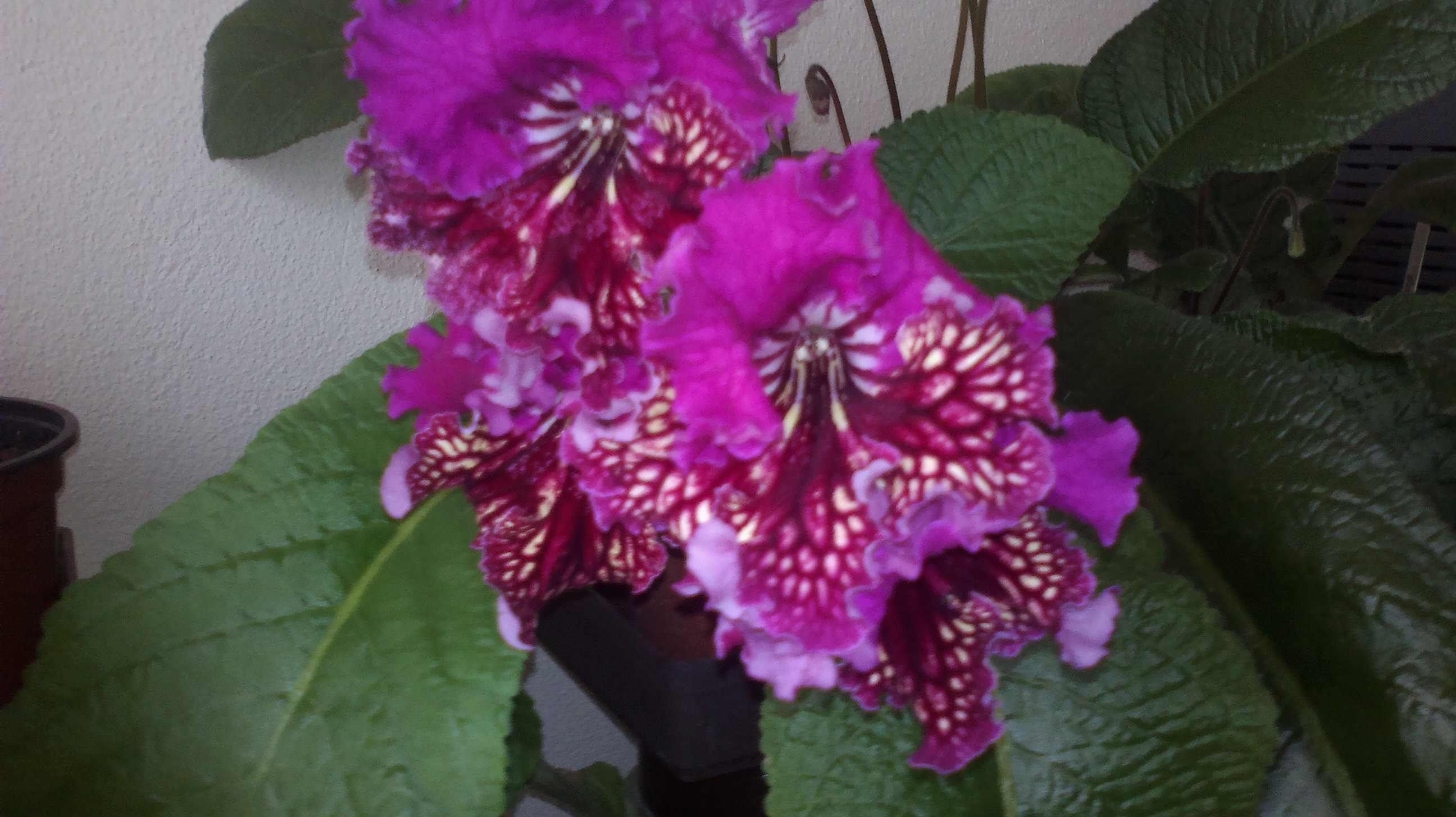 2015-10-09-0577