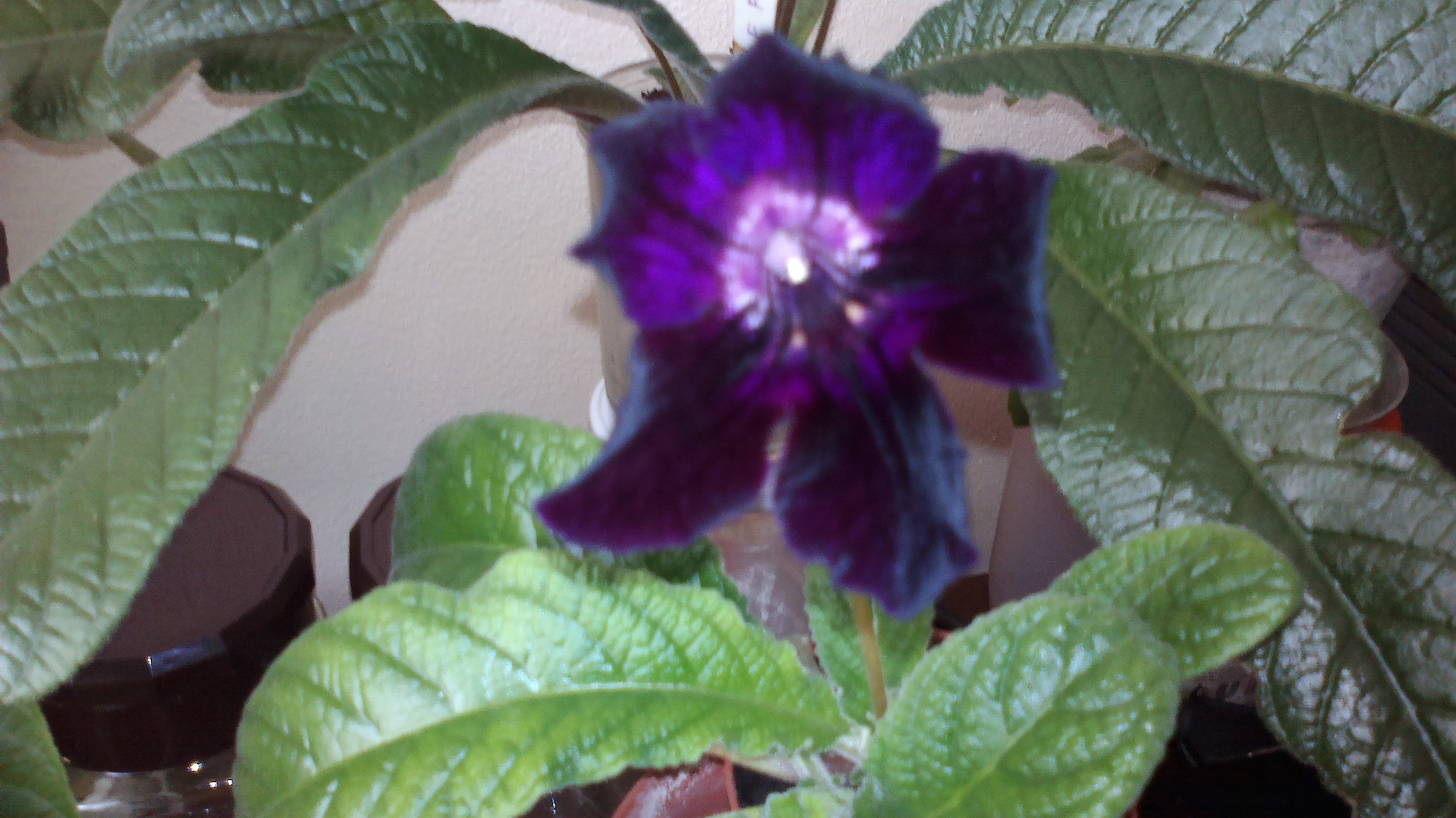 2015-09-24-0530
