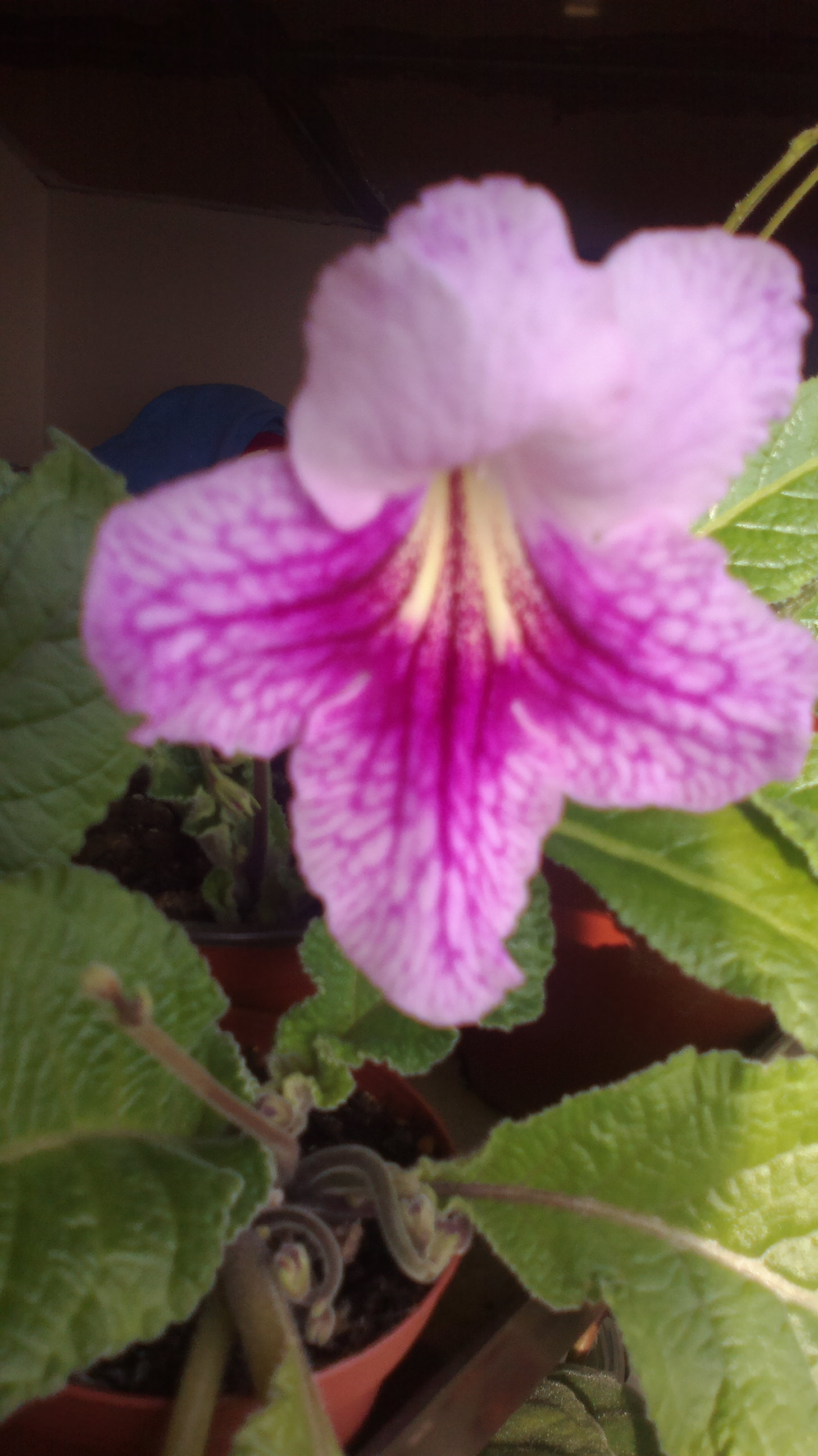 2015-10-06-0575