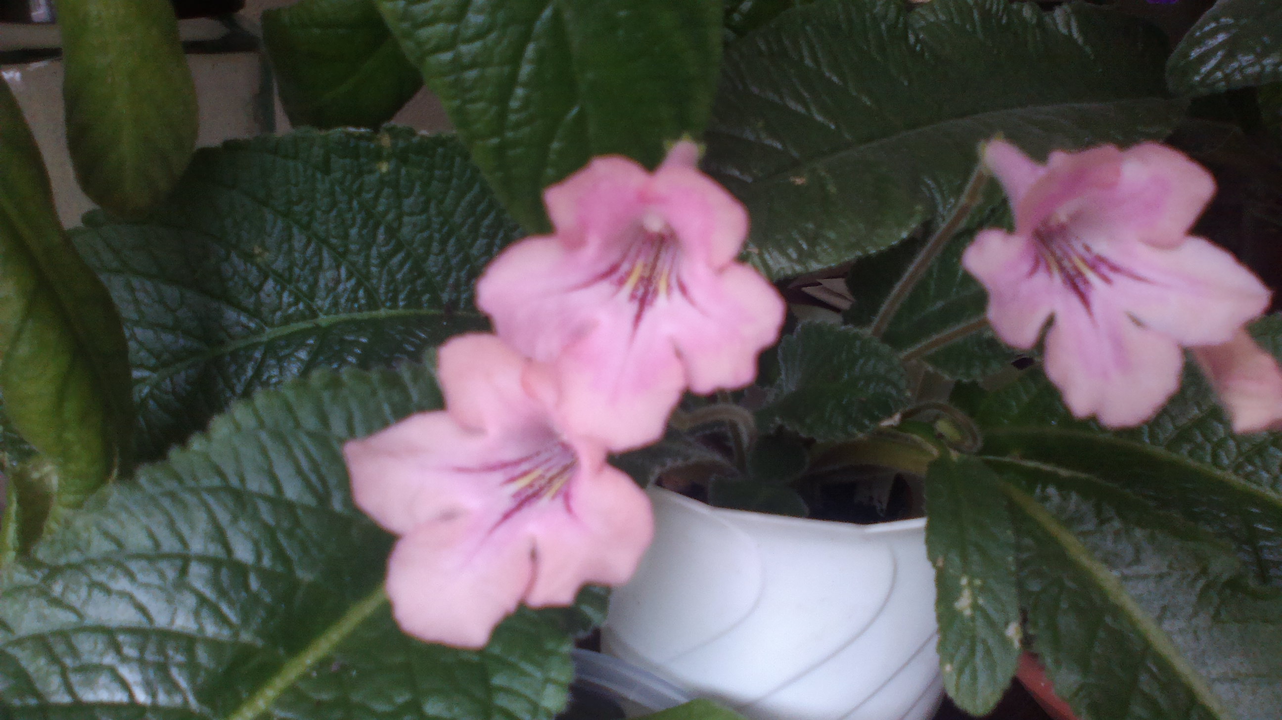 2015-10-09-0579