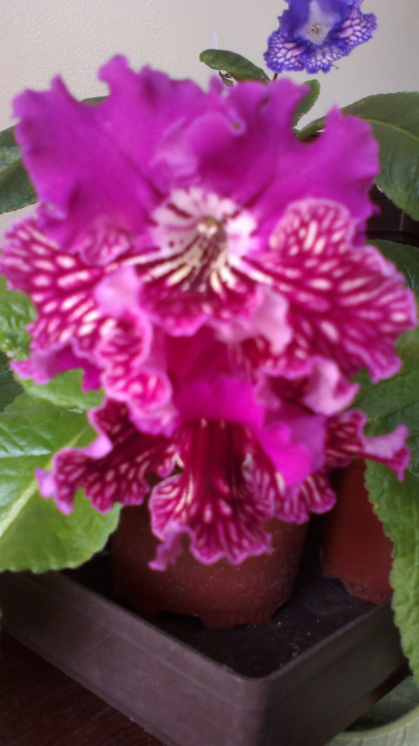 2015-09-04-0388
