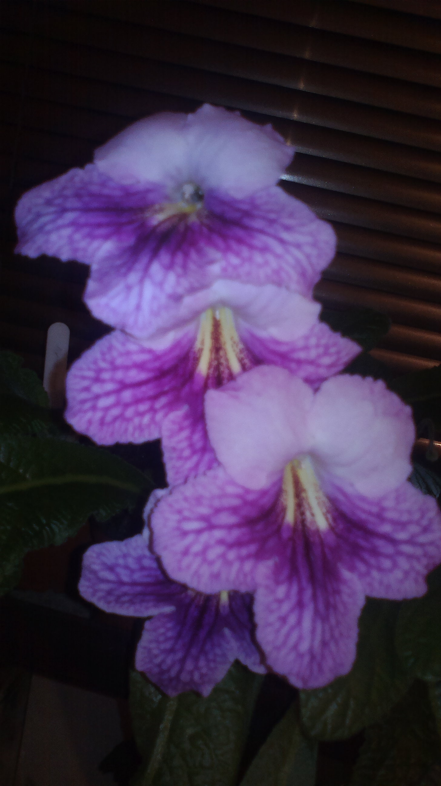 2015-10-25-0589