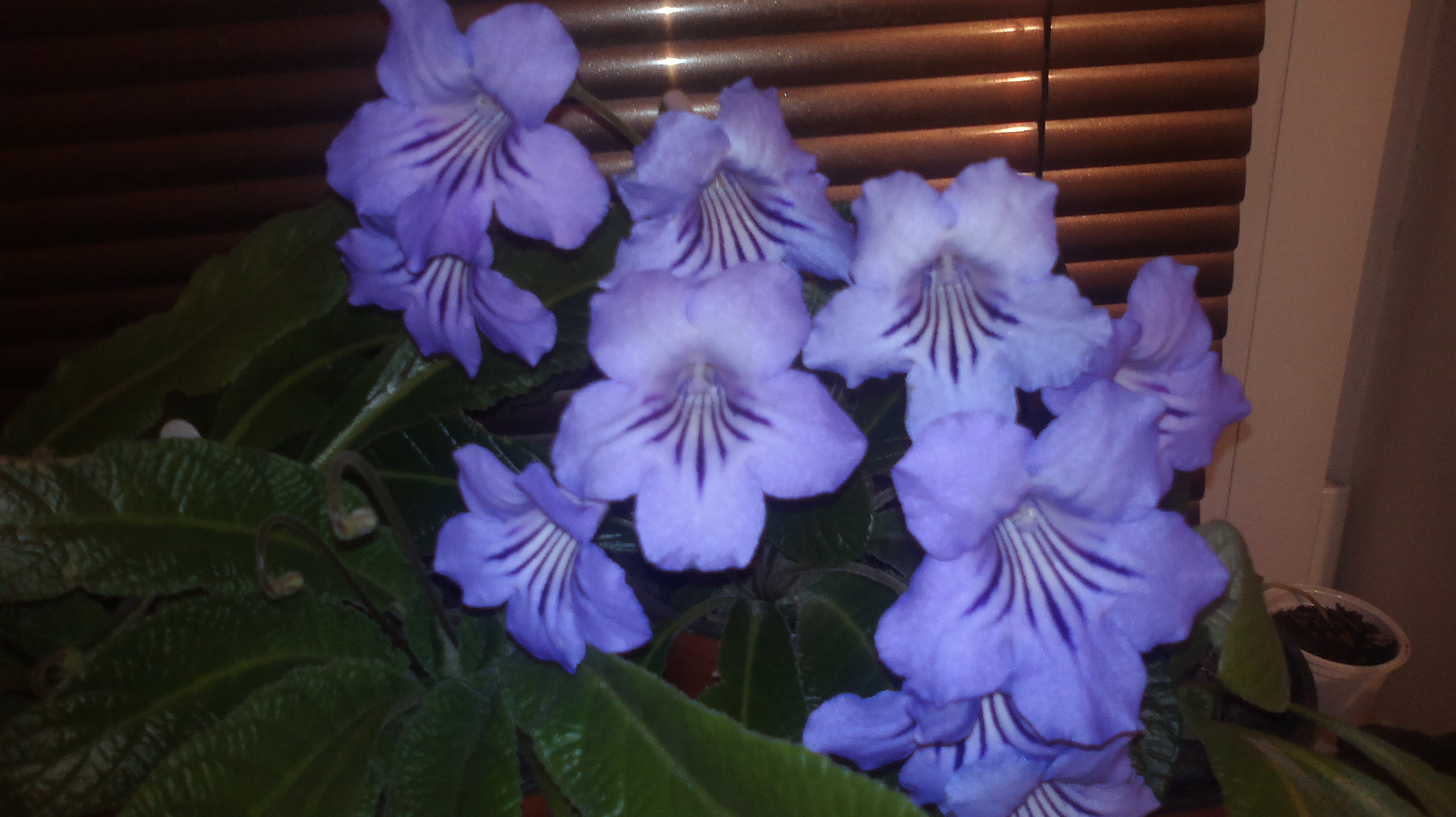2015-10-25-0590