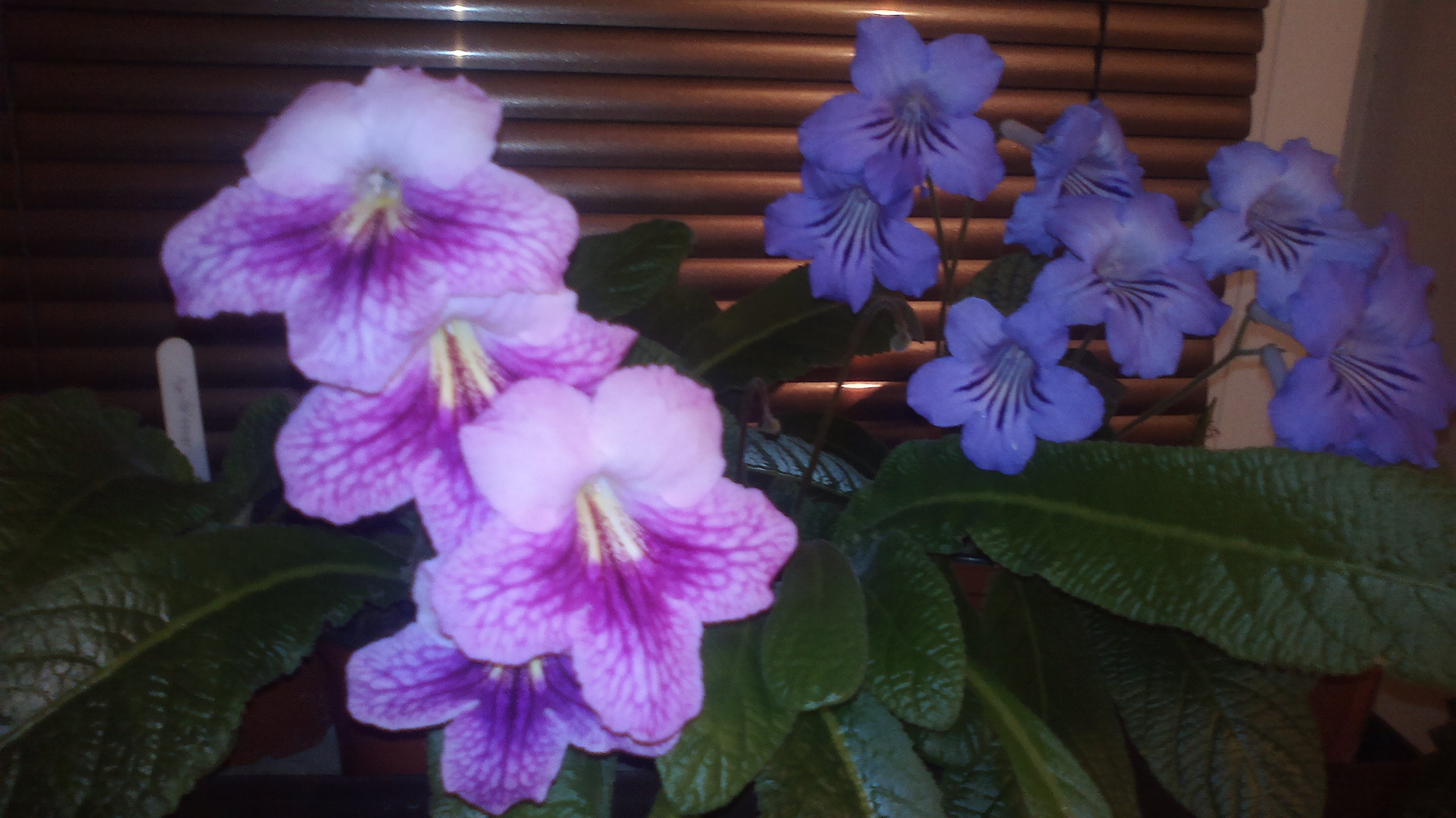 2015-10-25-0592