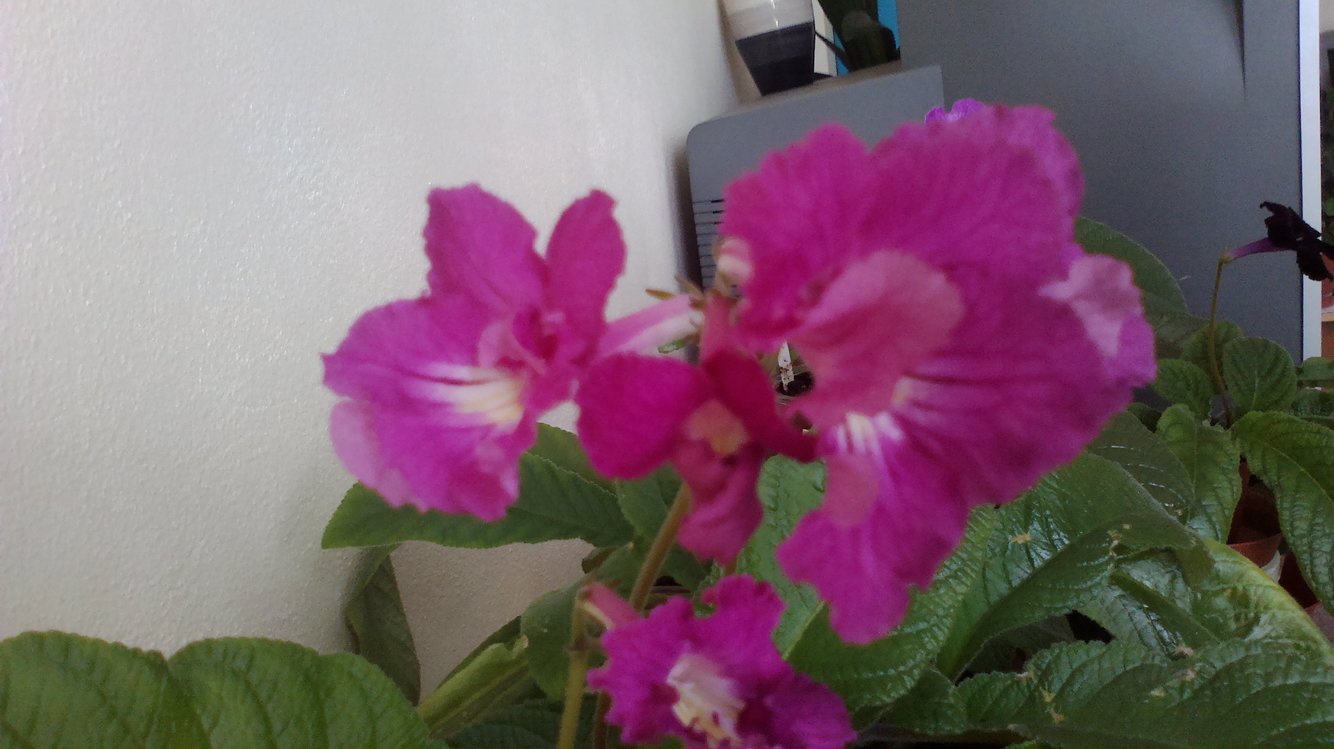 2015-09-24-0531