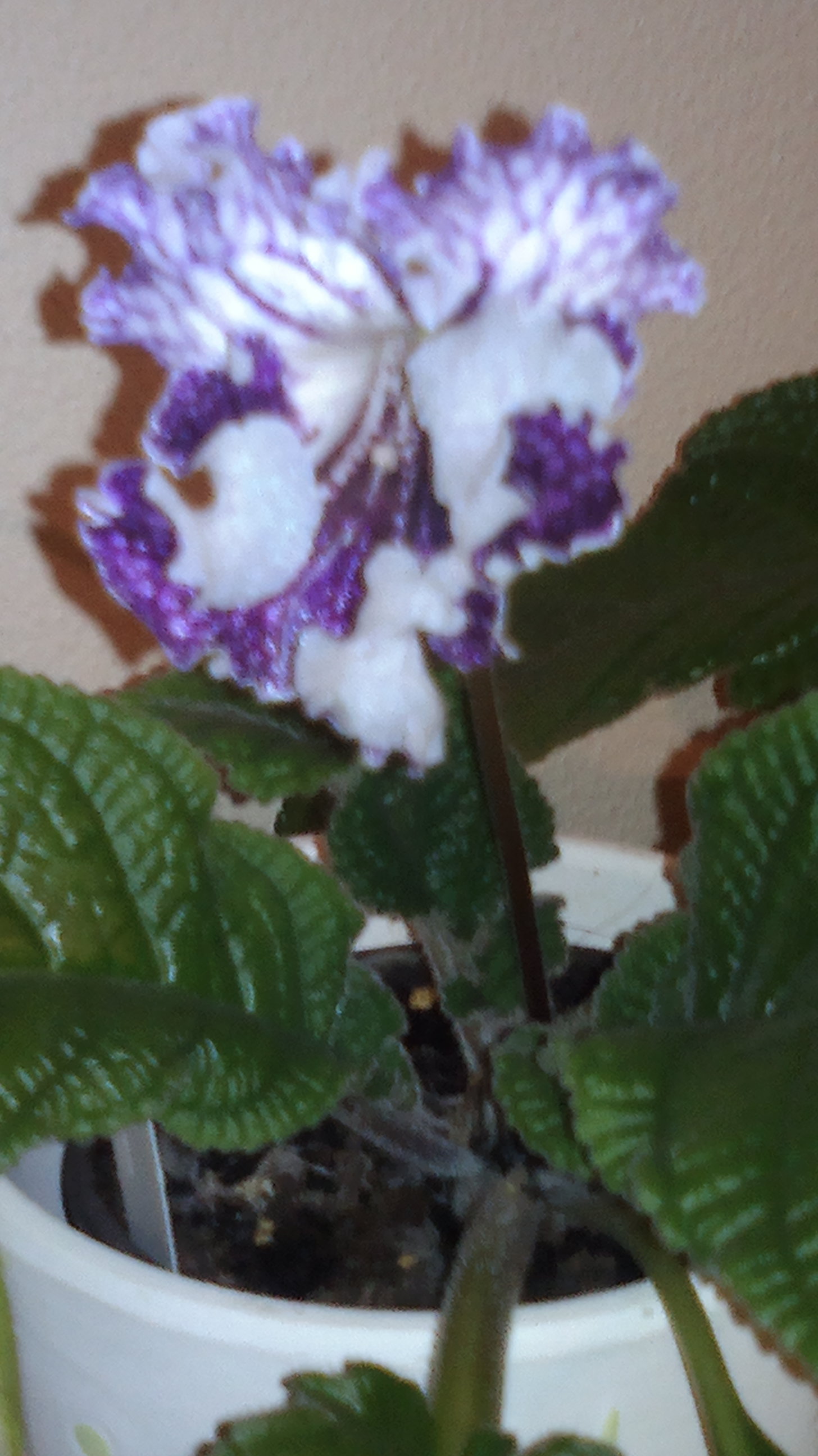 2015-11-05-0601