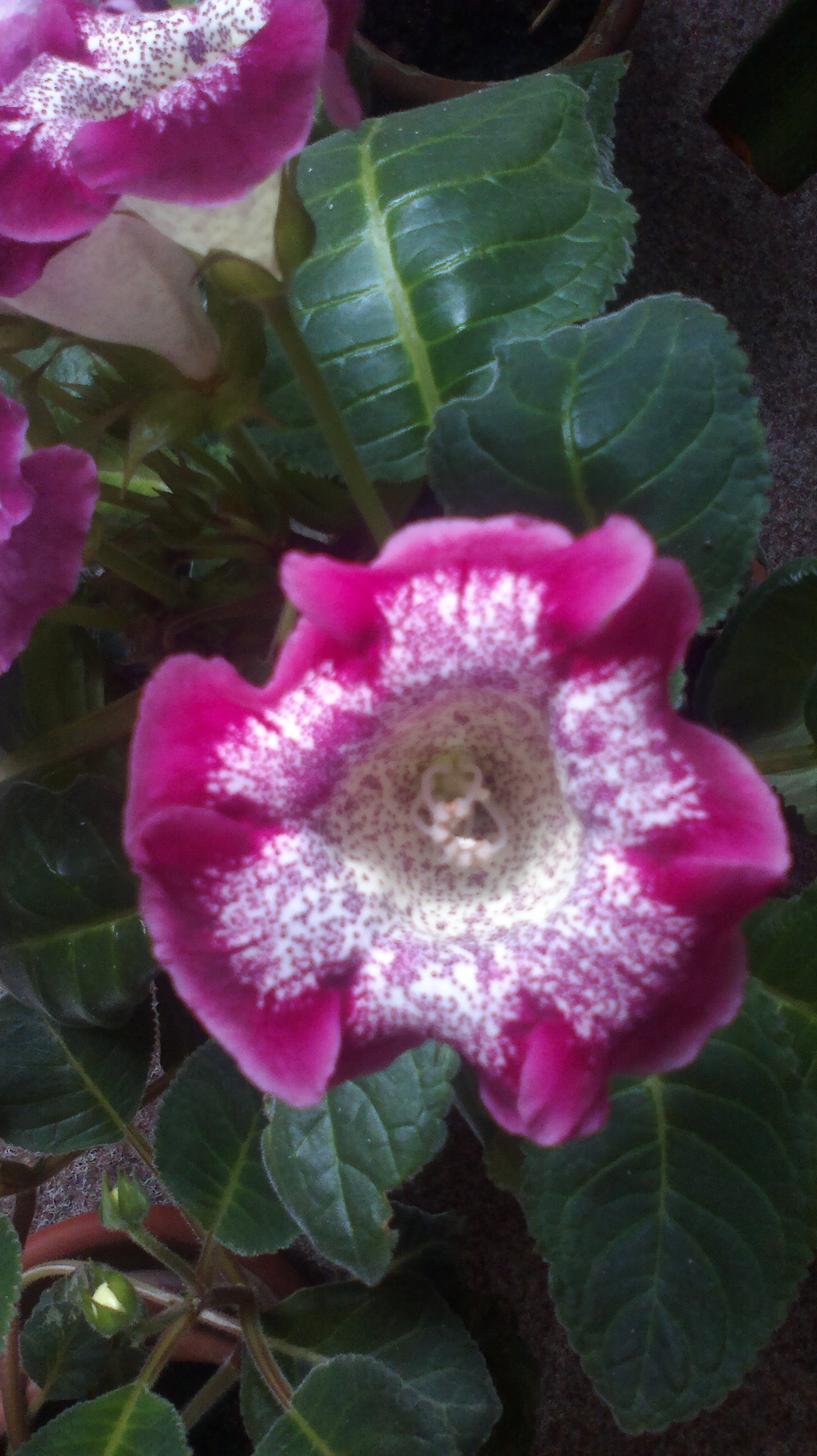 2015-08-02-0338