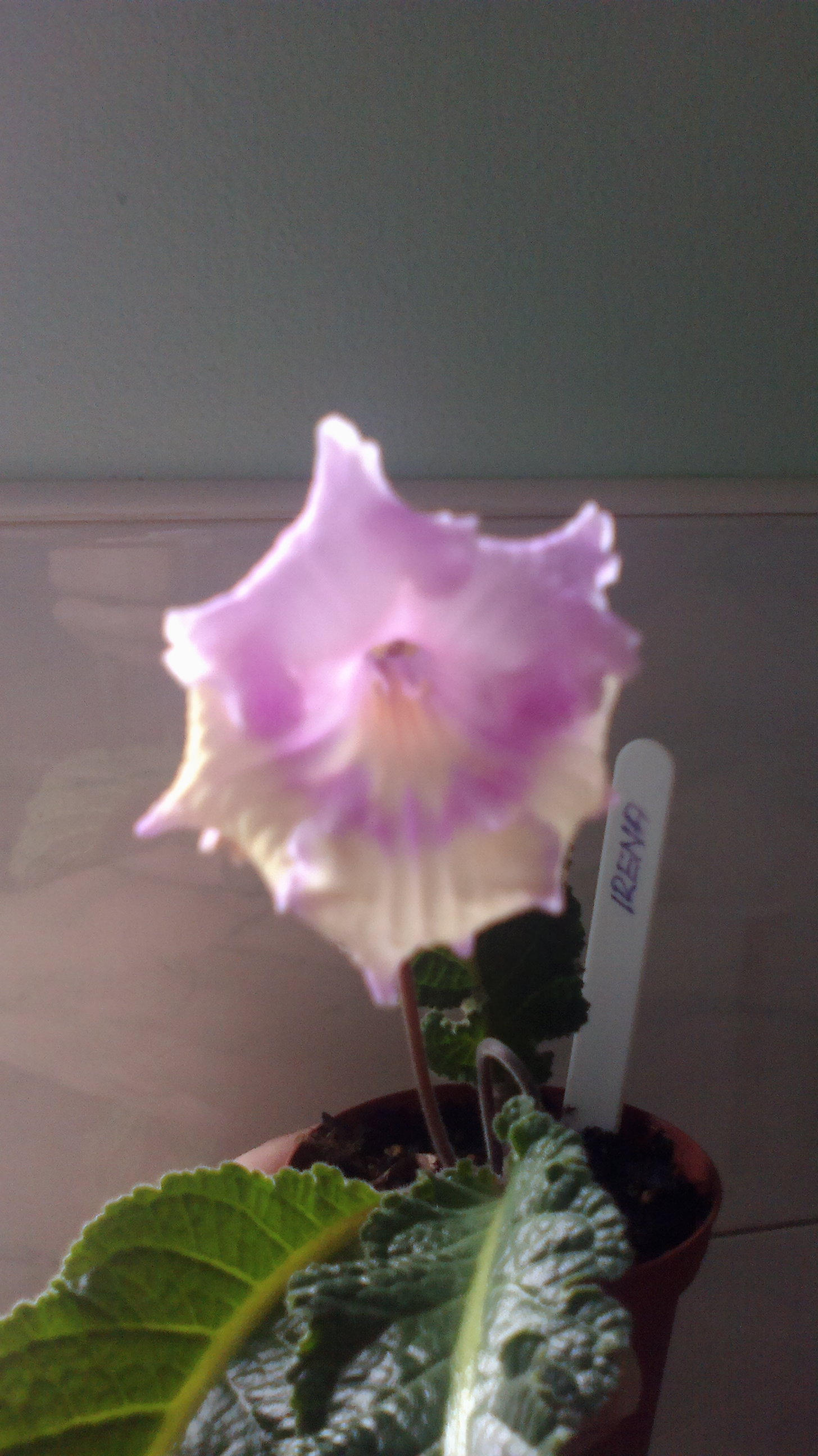 2016-03-22-0678