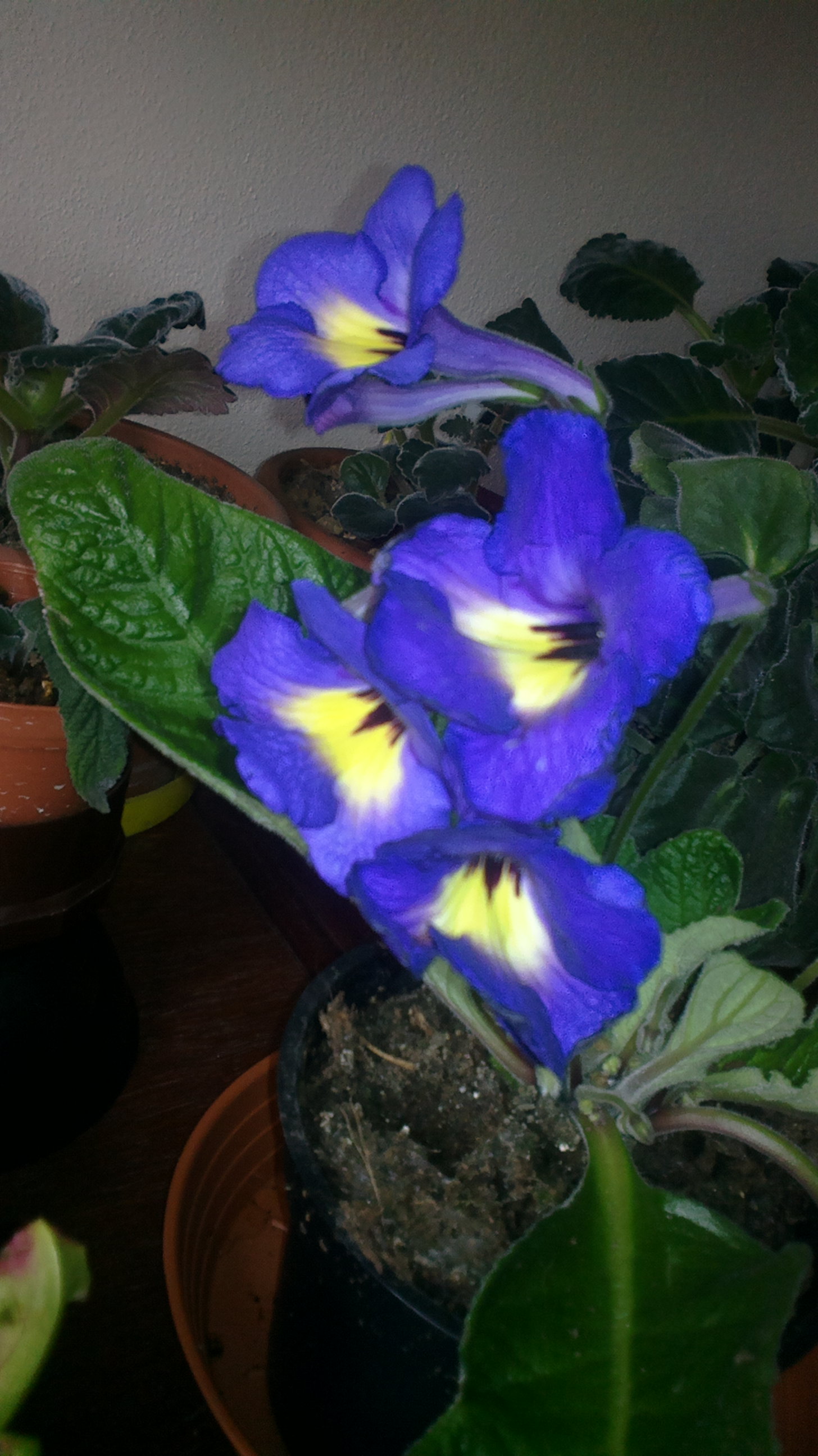 2017-04-28-0808