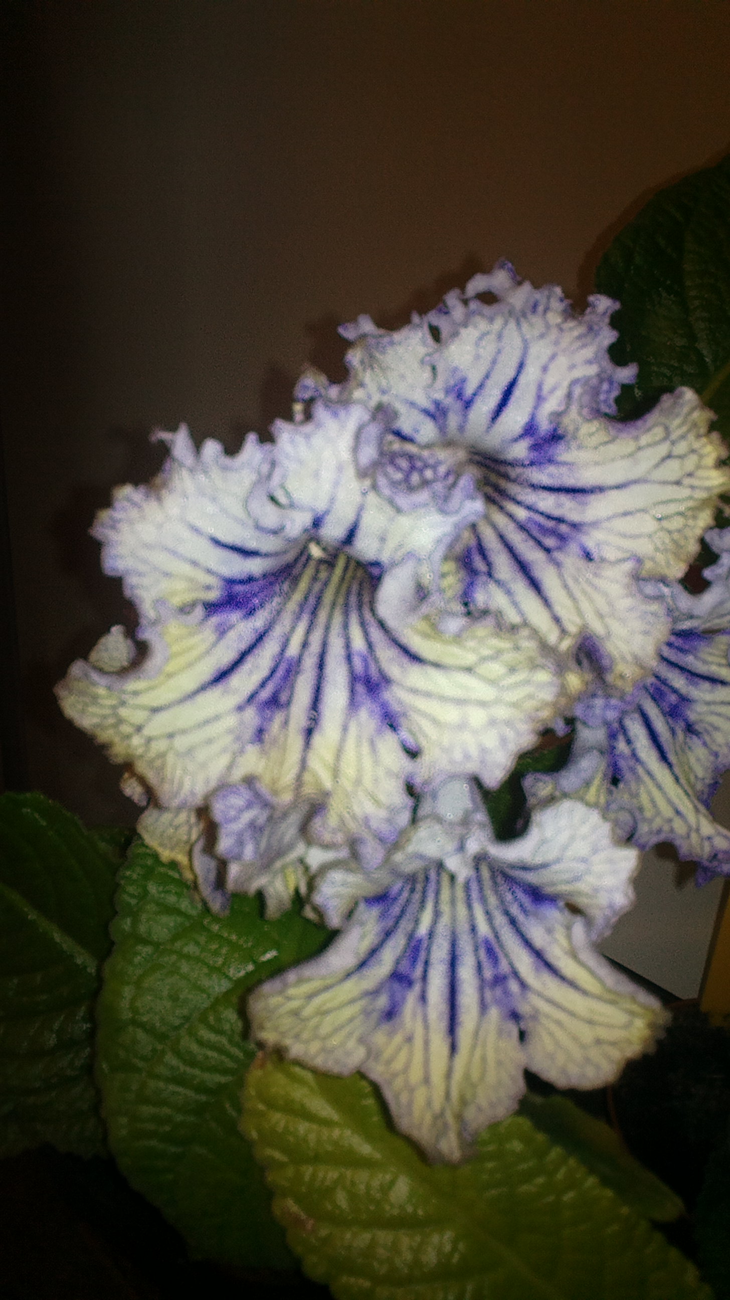 2017-07-10-0980