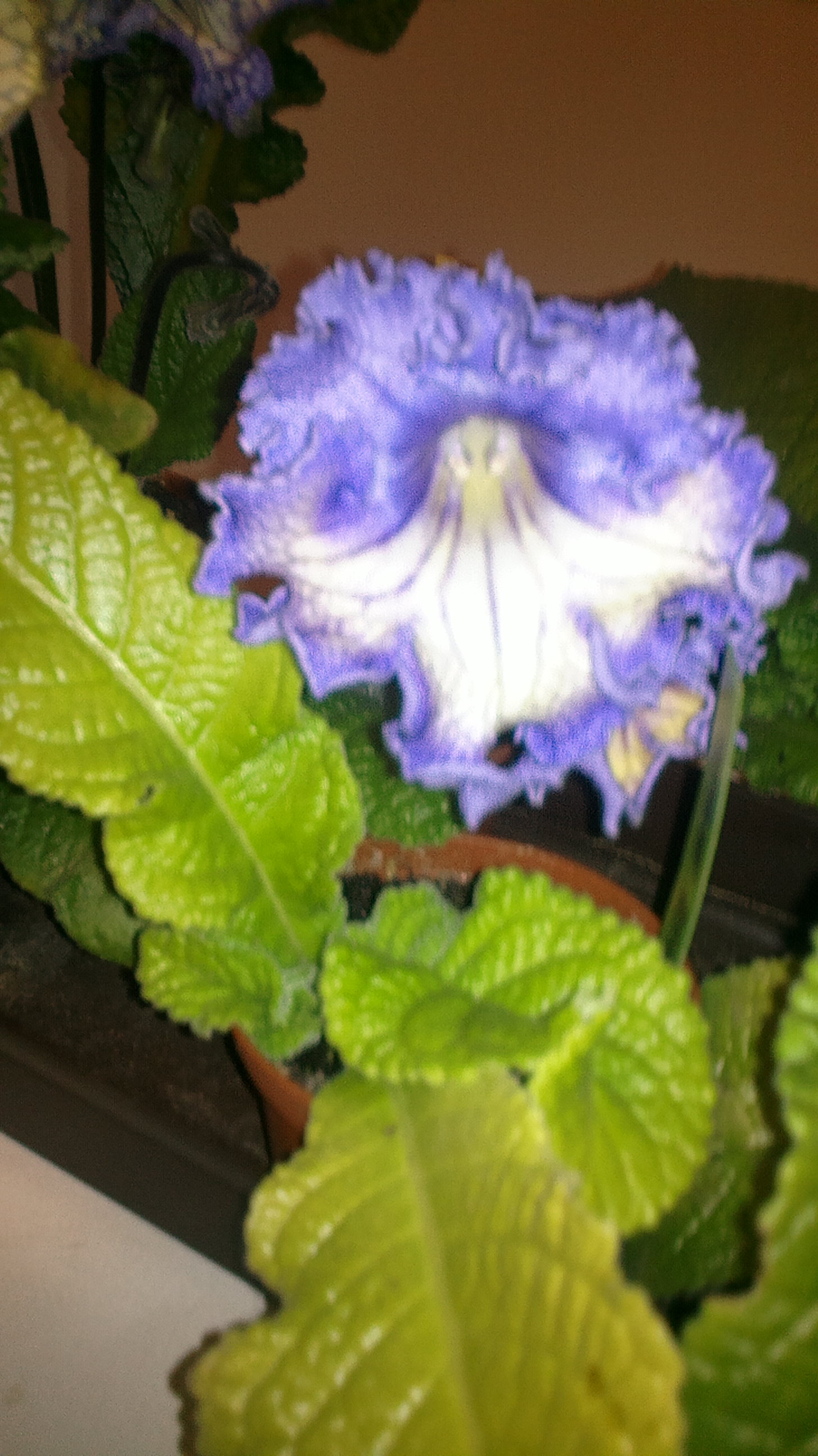 2017-07-10-0981