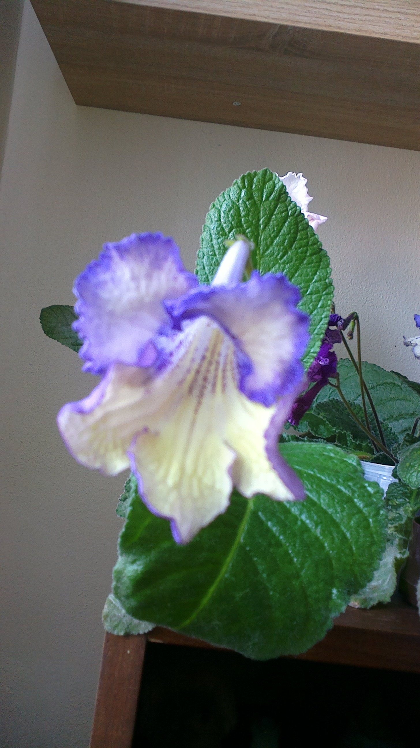 2017-07-14-1004
