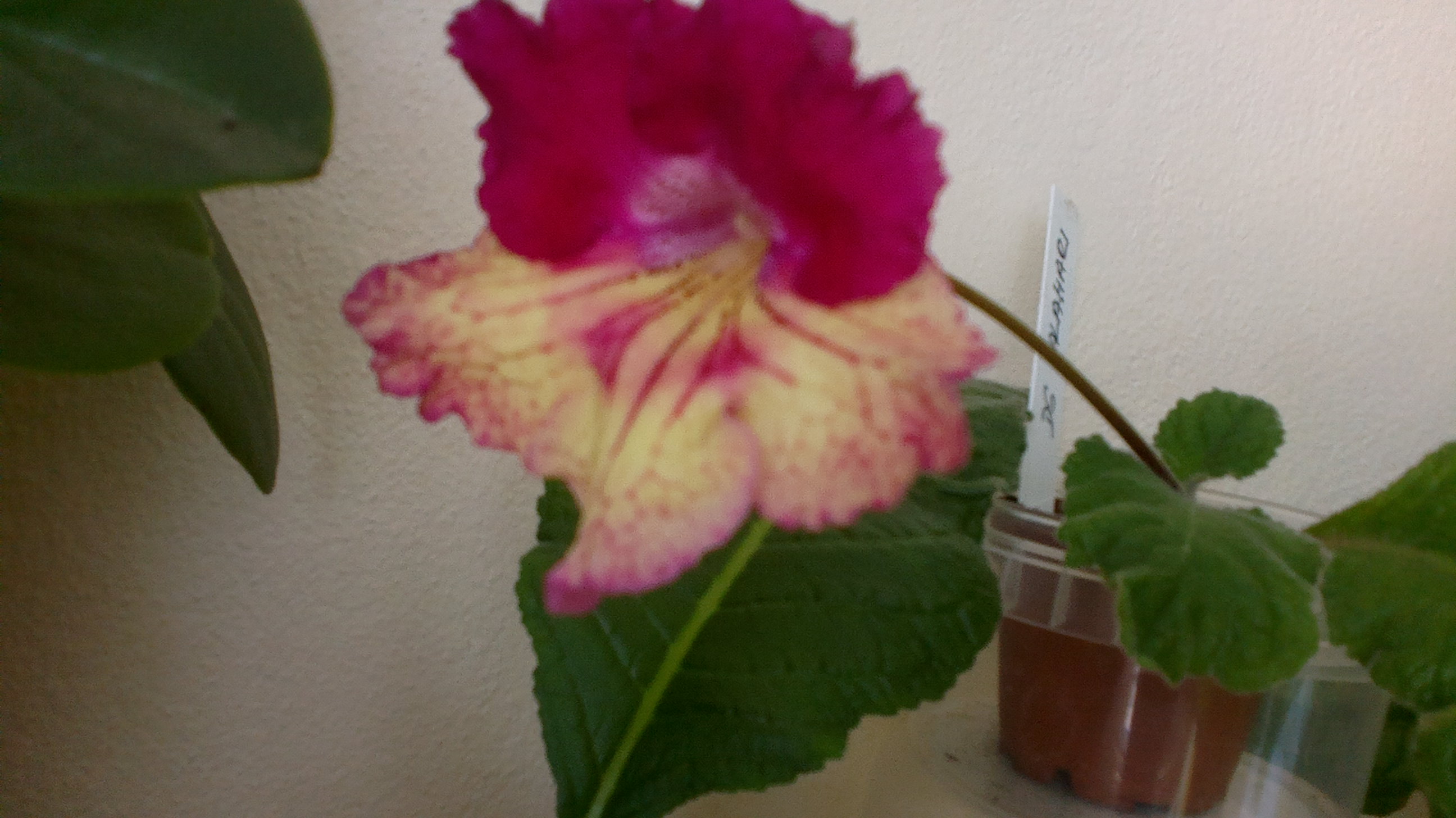 2017-07-14-1005