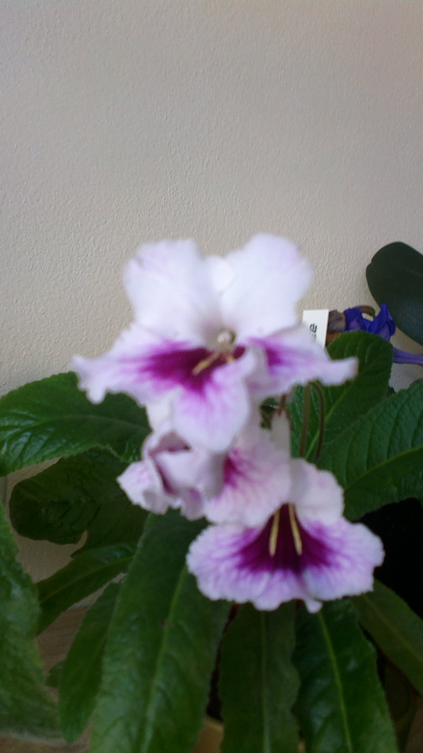 2017-07-14-1006