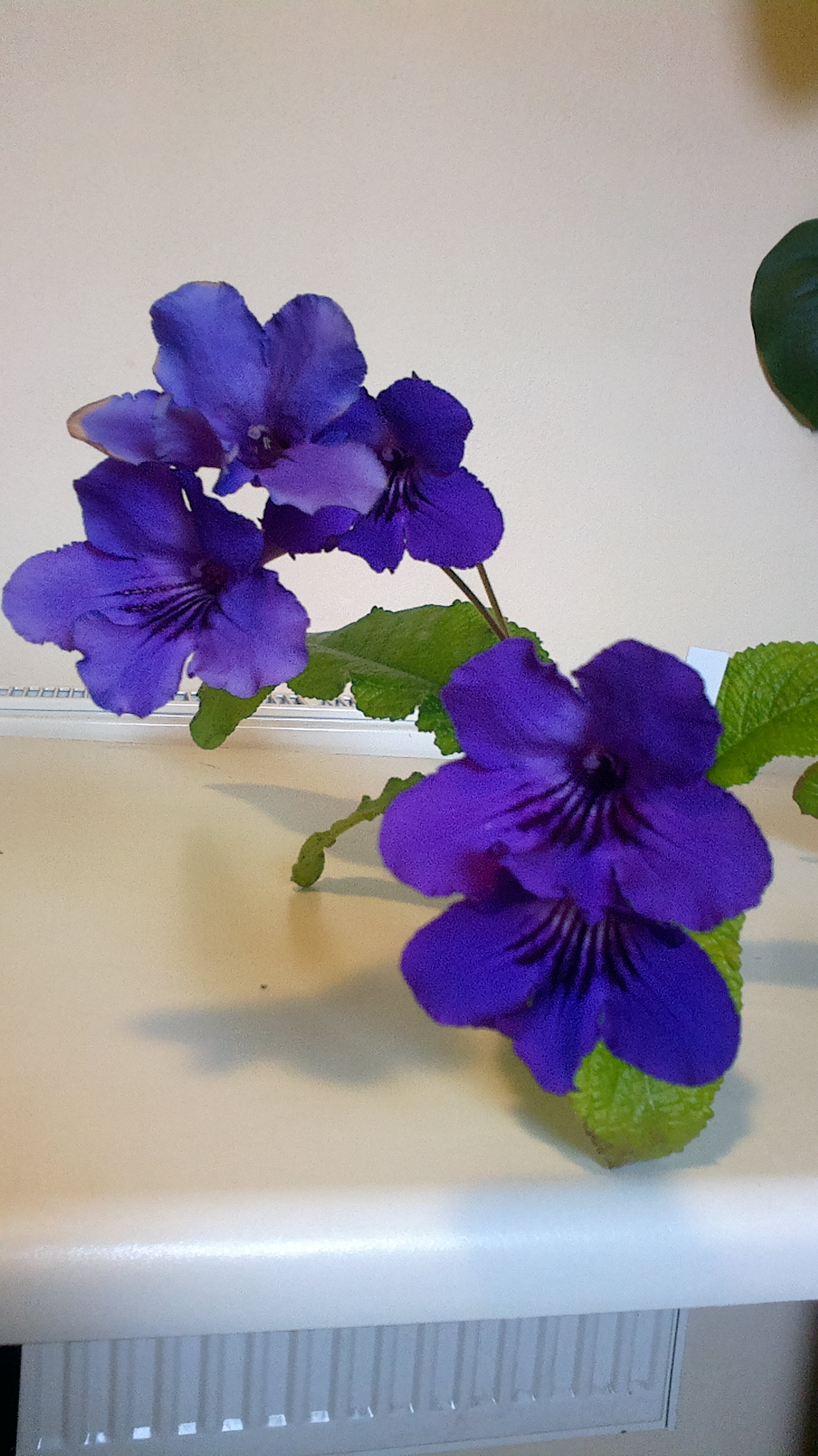 2017-07-27-1087