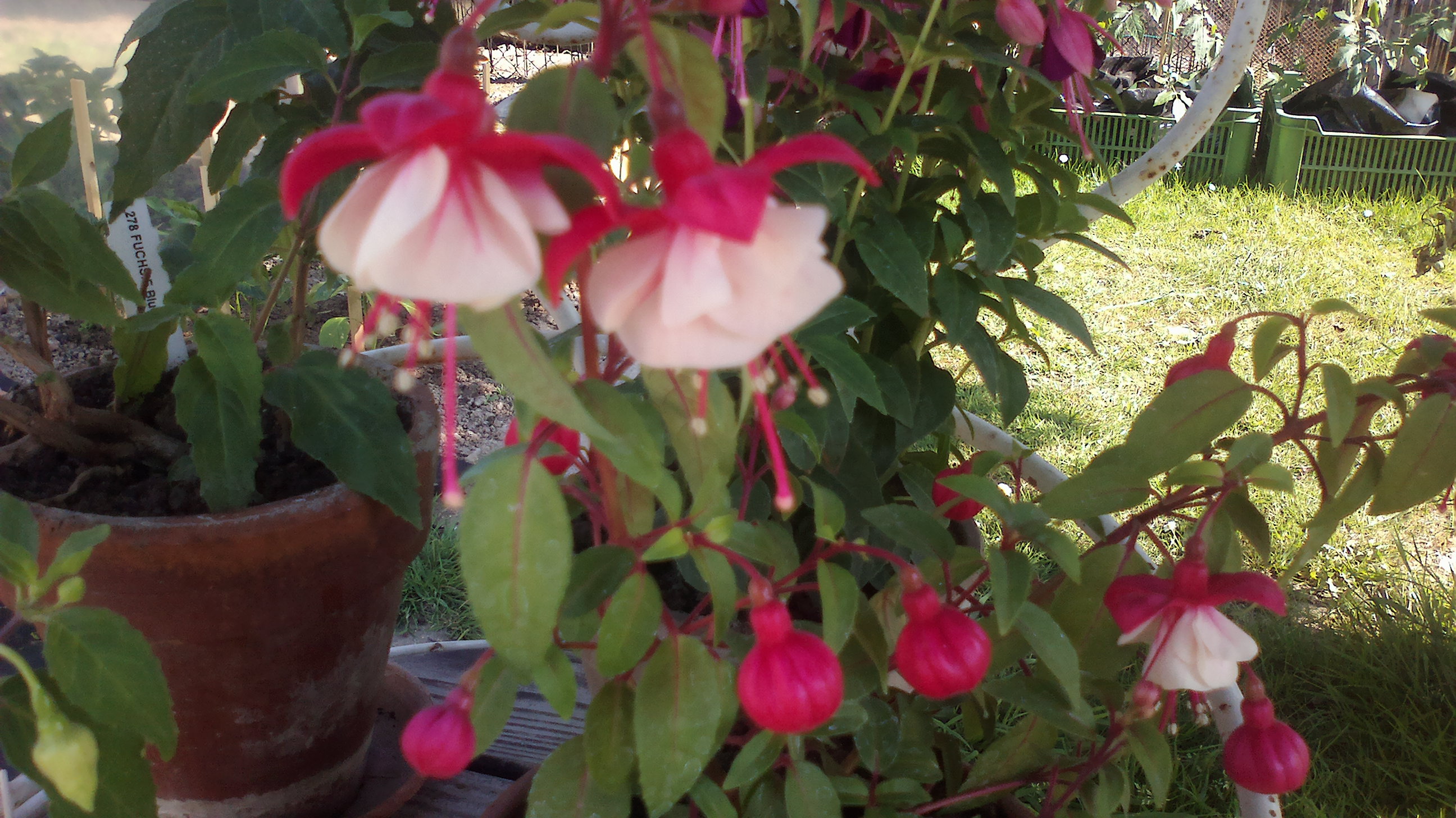 2015-06-07-0139