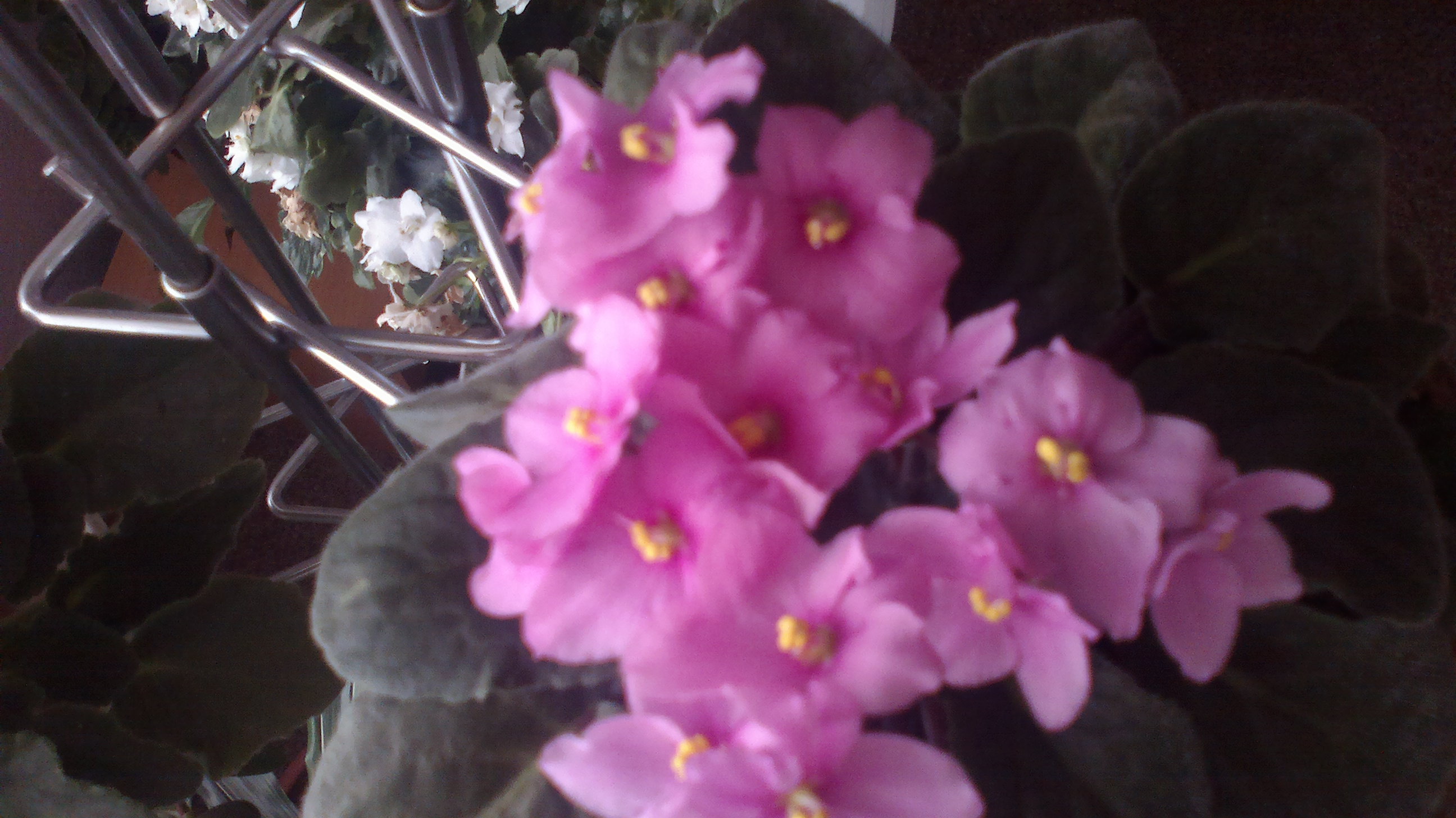 2015-06-07-0143
