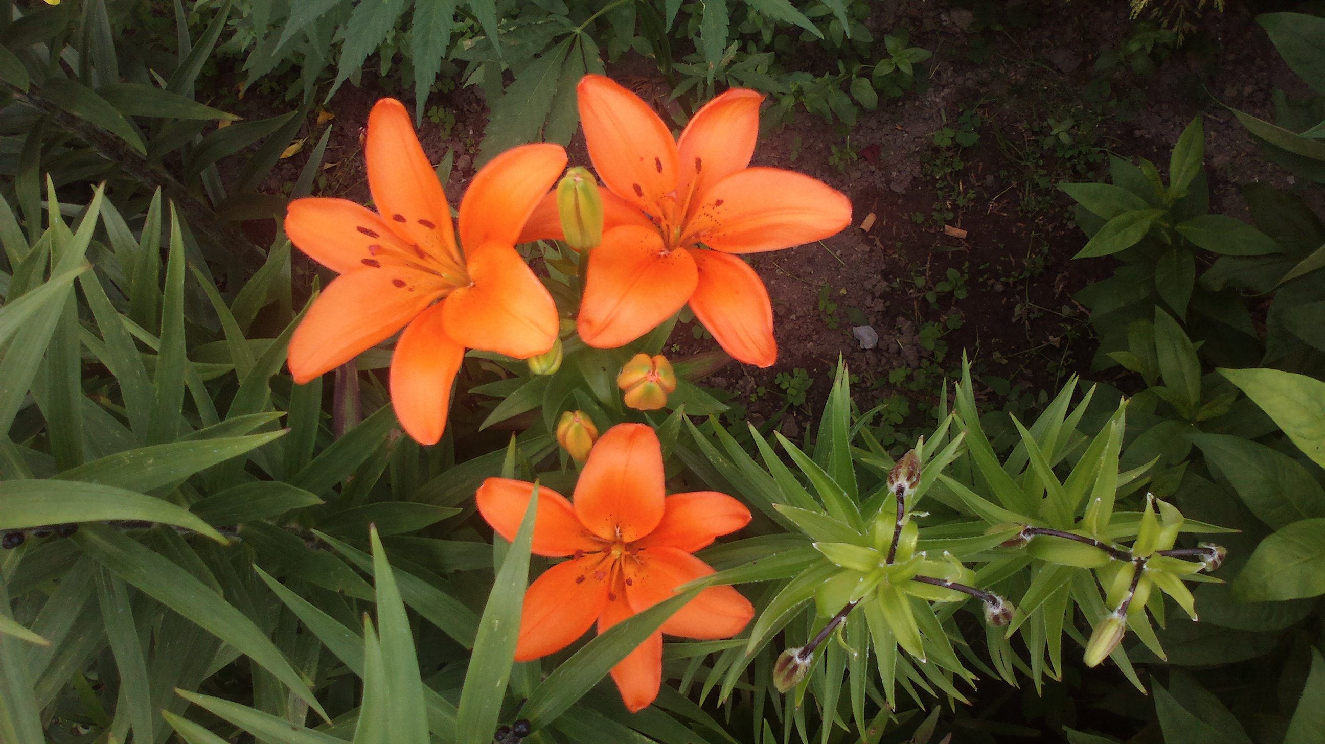 2015-06-29-0200