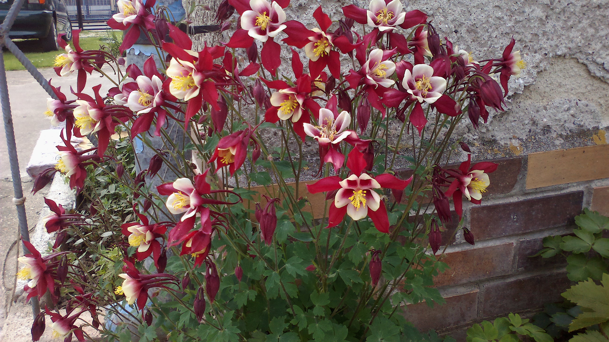 2015-05-25-0083