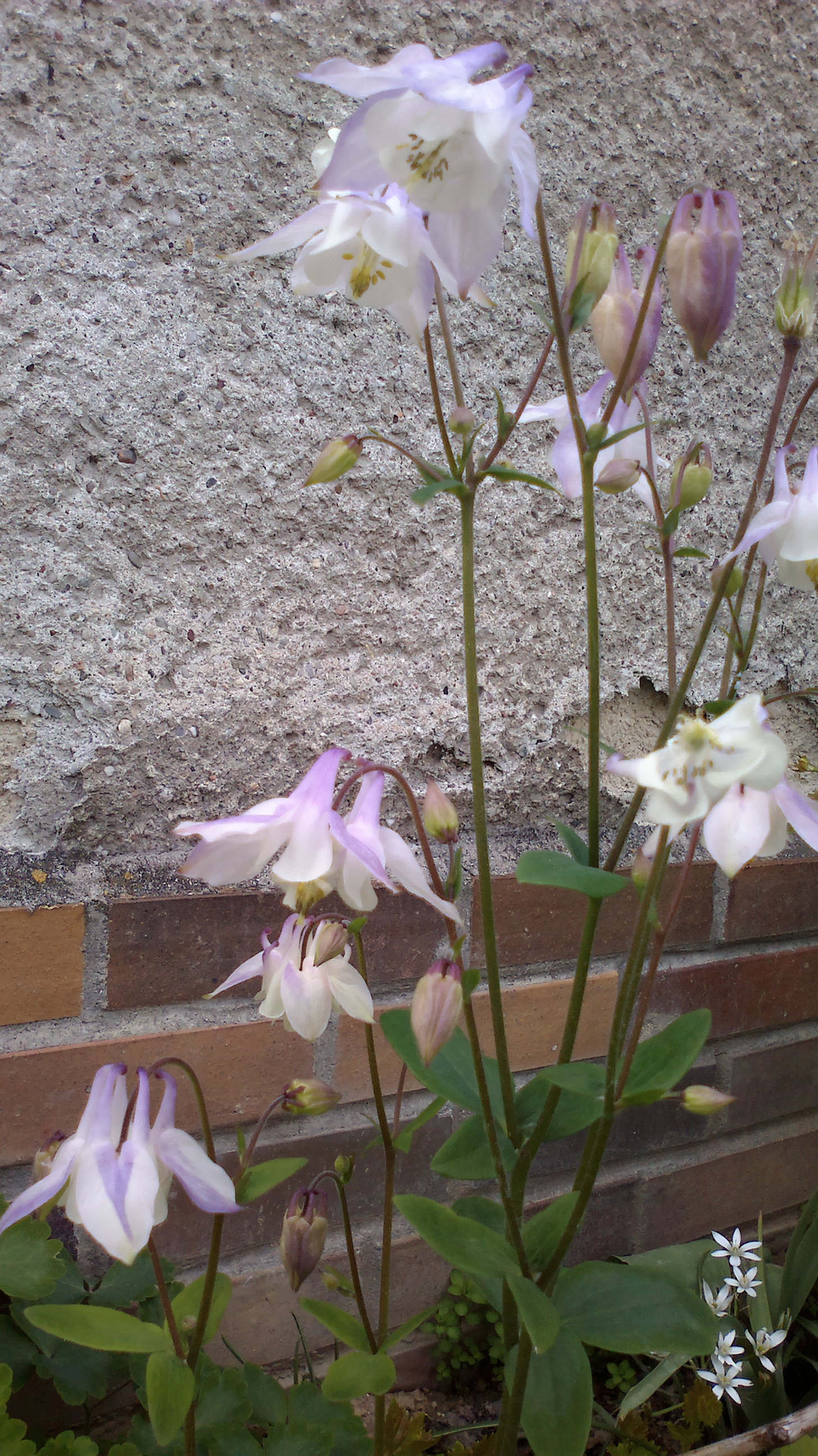 2015-05-25-0084