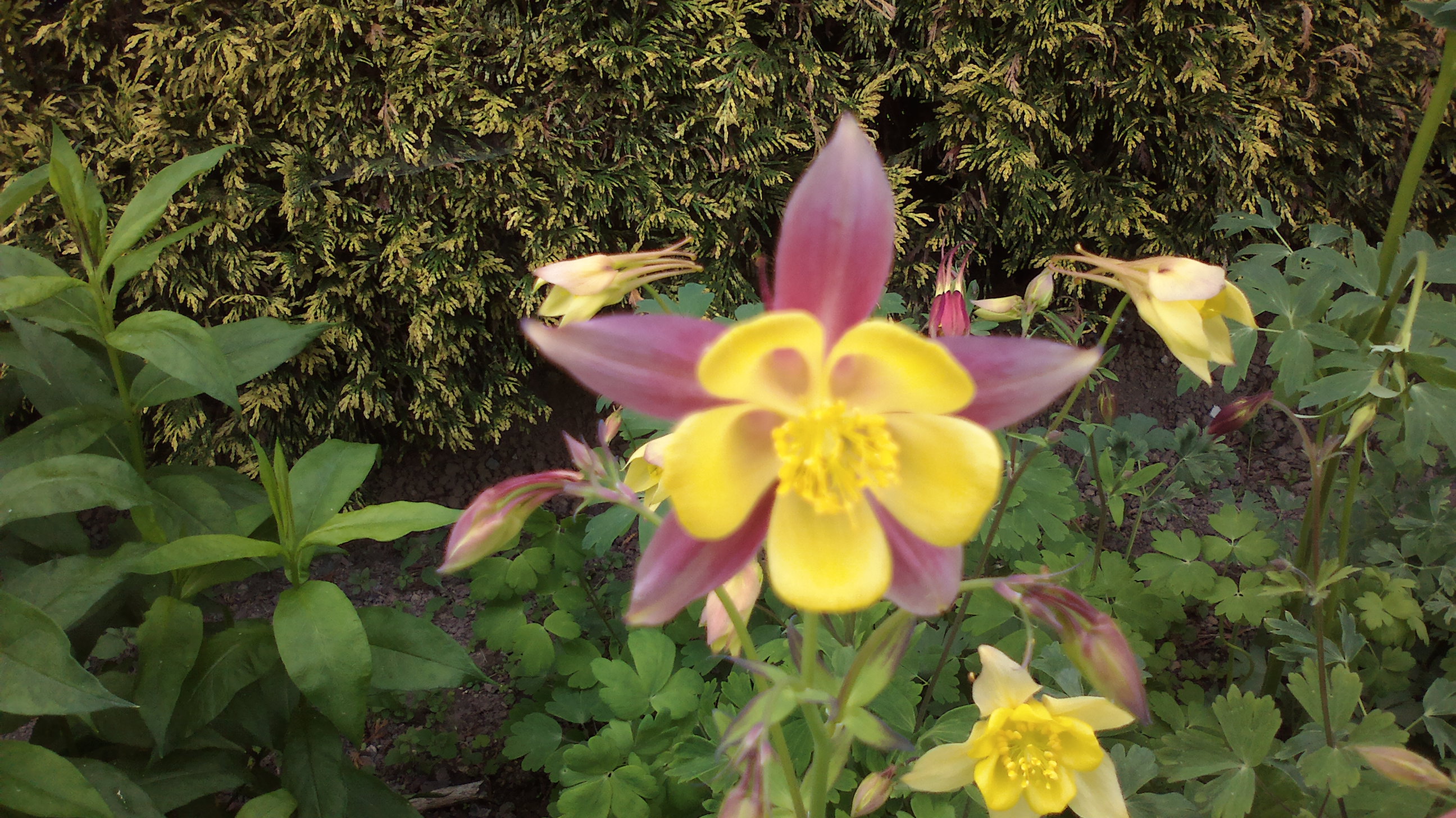 2015-05-25-0088