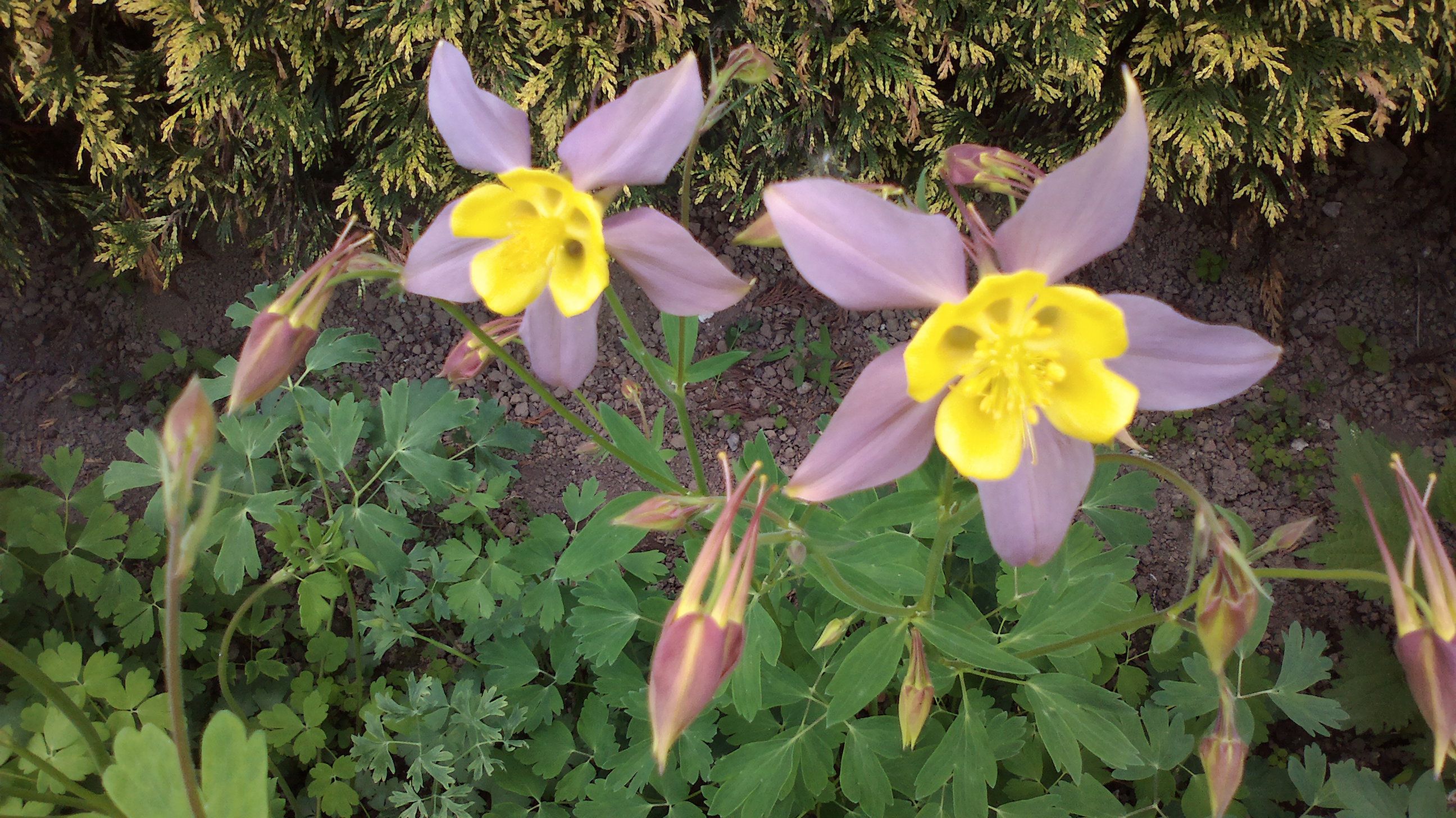 2015-05-25-0089