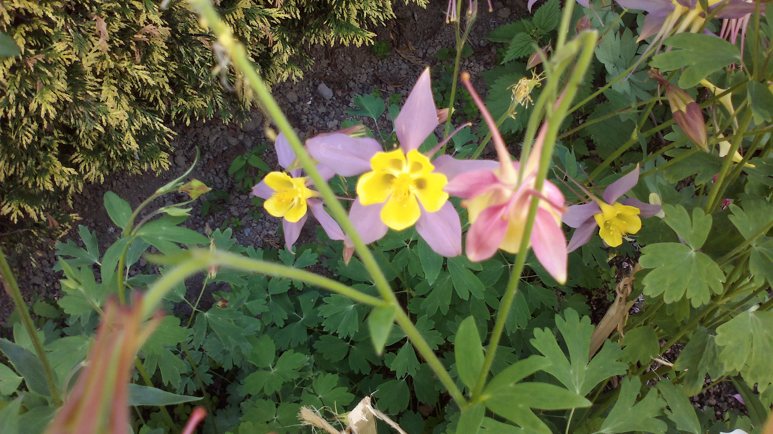 2015-06-01-0108