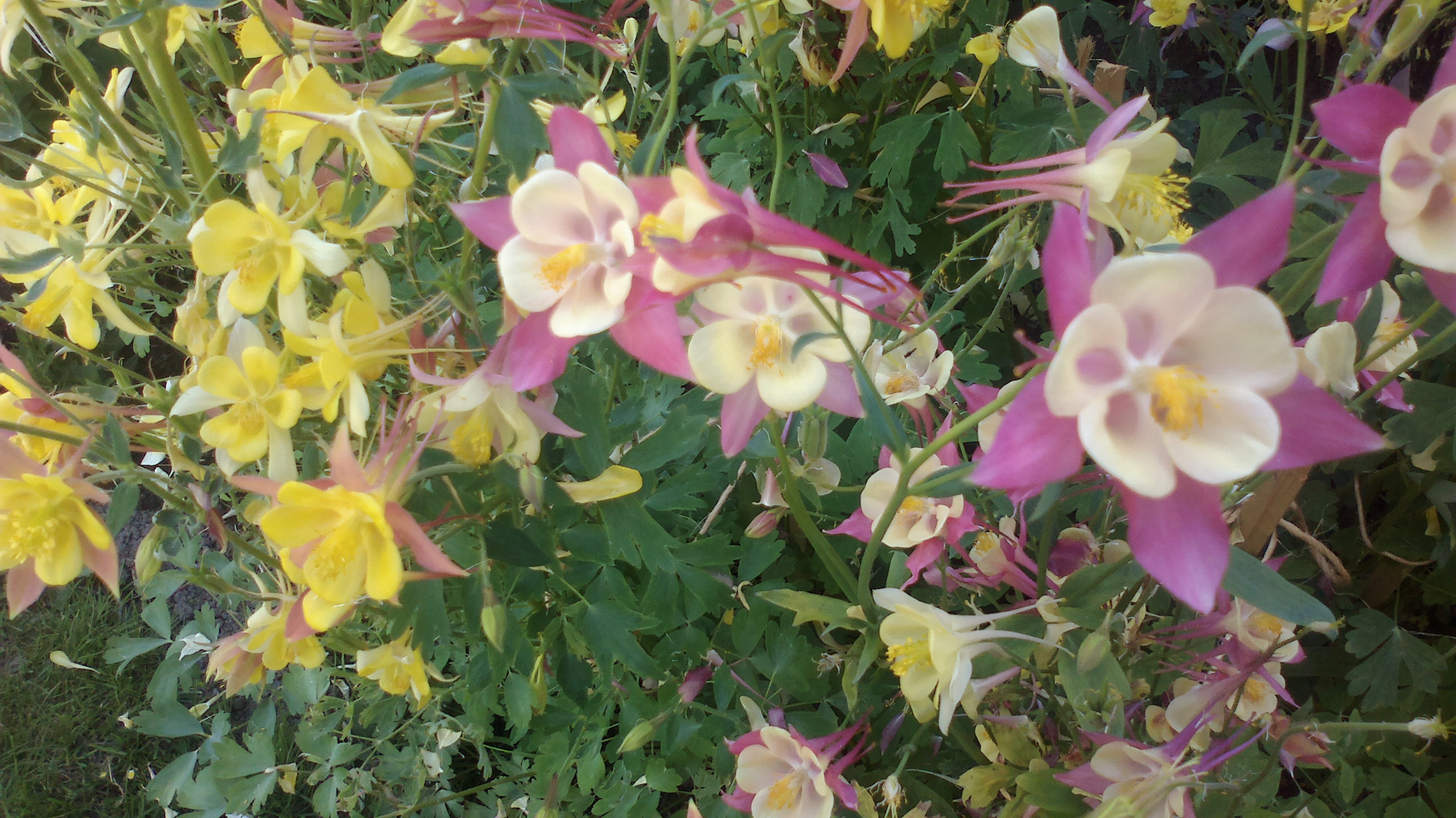 2015-06-07-0130