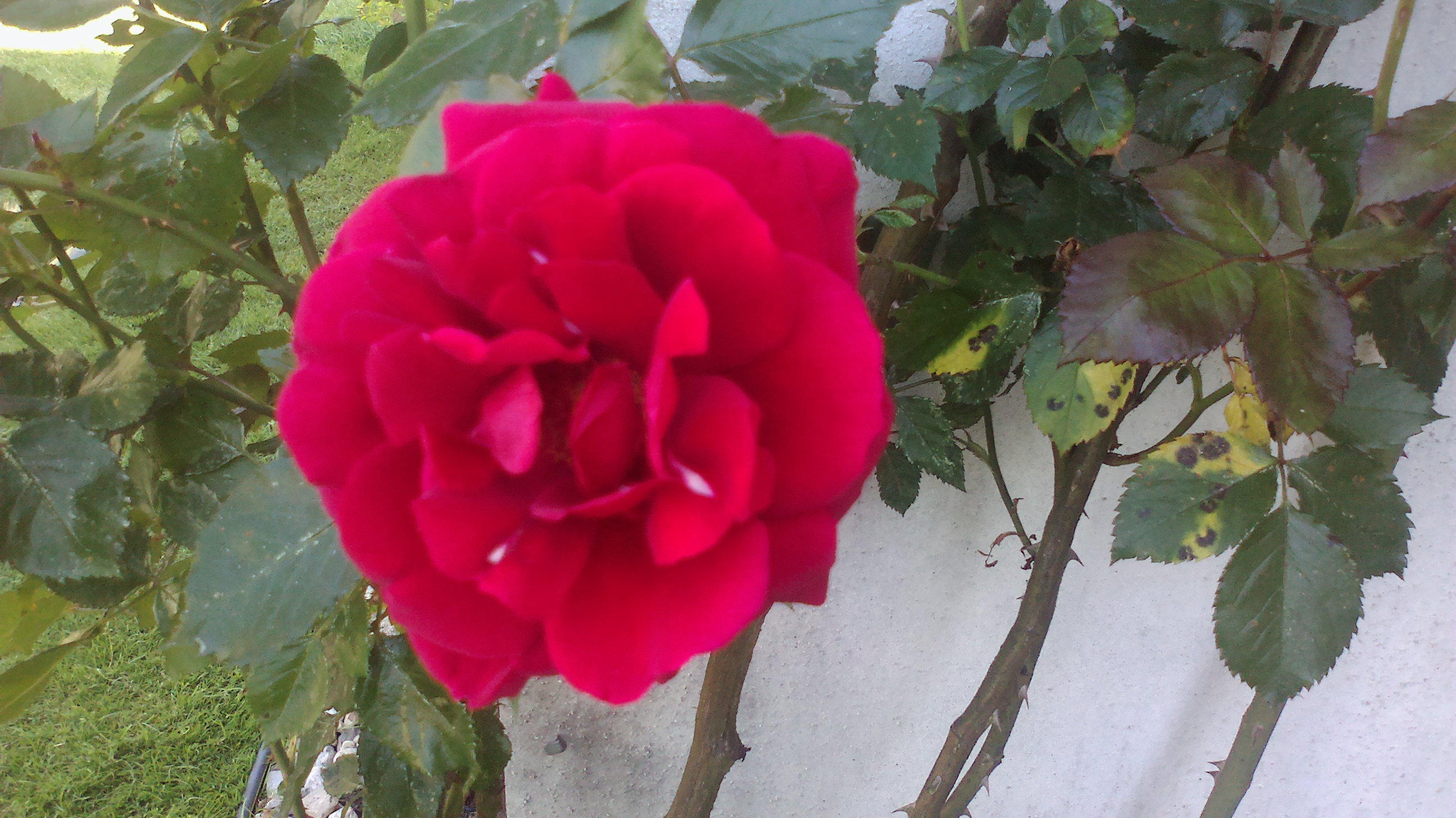 2015-06-07-0134