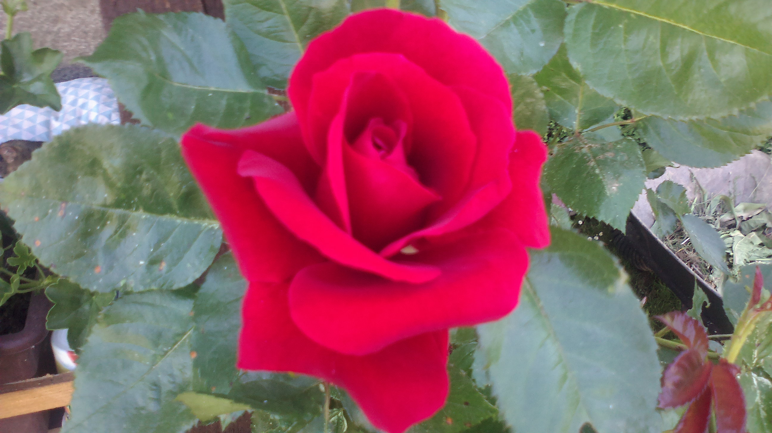 2015-06-07-0135