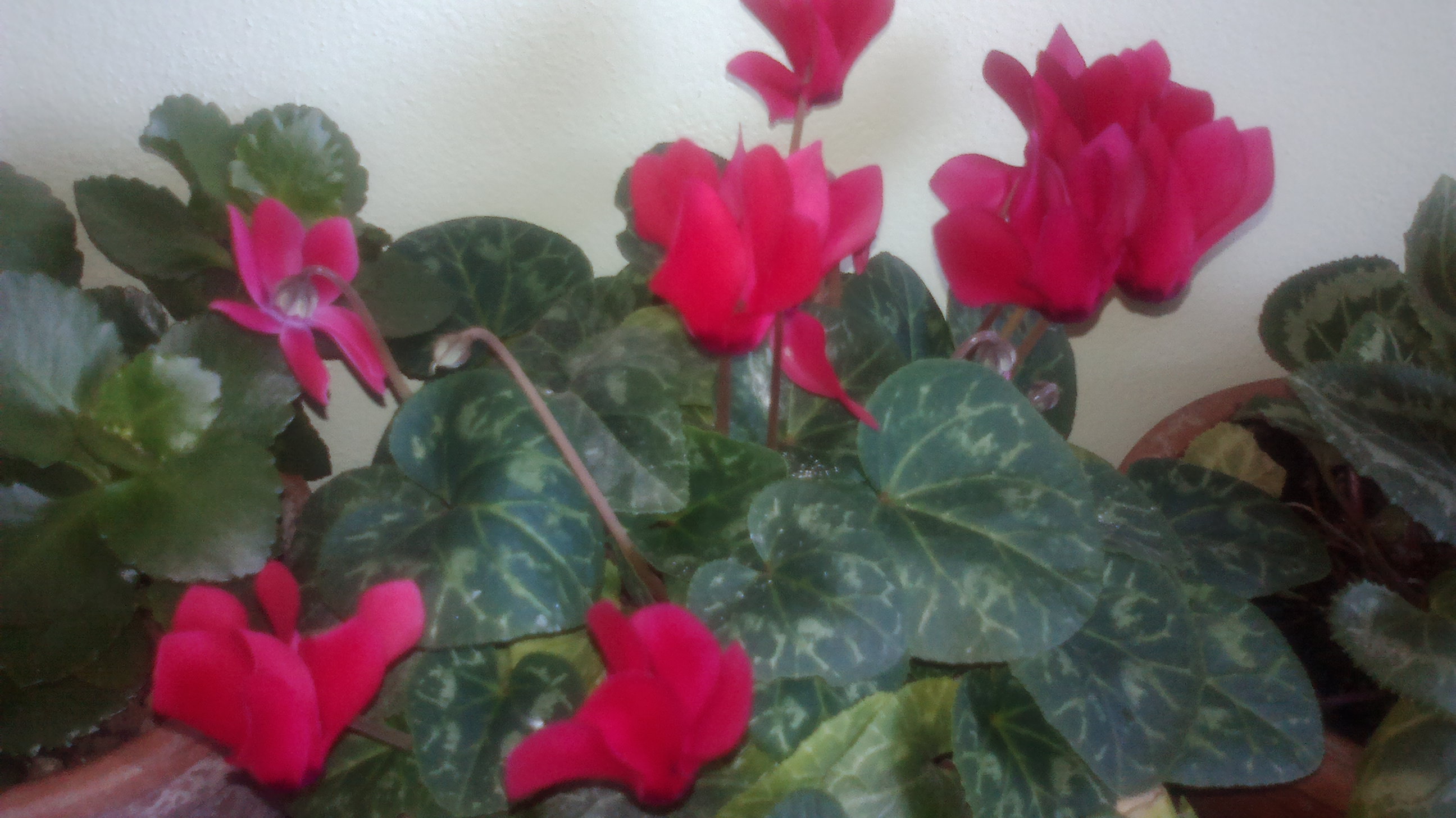 2015-06-07-0125